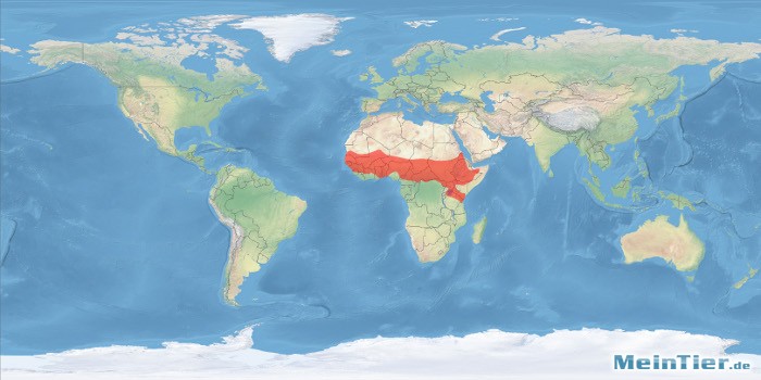 tl_files/bilder/haltungsberichte/verbreitung/senegal_galago_welt.jpg